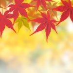 秋に片付けをするススメ